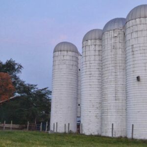 photo Silent Guards - Taken on October 30, 2013 by Cindy Myers