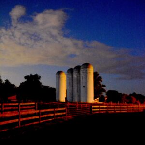 photo In the Evening Light - Taken on June 14, 2013 by Martin McCann