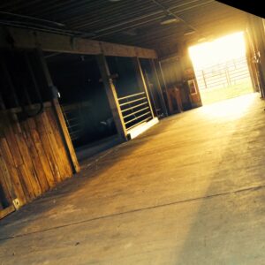 photo Illuminating - Taken on October 17, 2013 by Kelly Brenner(age 13)