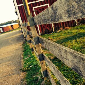 photo Barn Yard Fence - Taken on October 17, 2013 by Kelly Brenner(age 13)