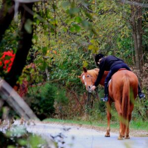 photo Horse  and  Rider - Taken  on  the  jogging  trail  on  October  19,  3013 by Leaton  Jones