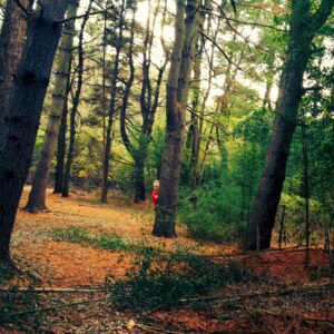 photo Hide  and  Seek - Taken  on  October  17,  2013 by Kelly  Brenner (age  13)