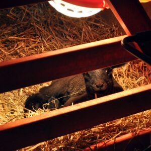 photo Hello World! - Taken in March of 2014 by Terry Niec