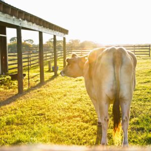 photo Wiggle It - Taken near the big barn on October 25, 2014 by Joey Pobre