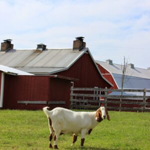 photo Home Sweet Home - Taken on September 20, 2014 by Amy Rittenhouse