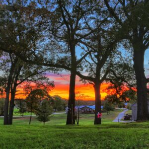 photo Trees in the Sunset - Taken near the Visitors Center on October 24, 2014 by Joey Pobre