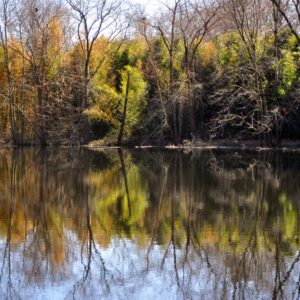 photo Early Spring - Taken at Bunks Pond in March of 2014 by Terry Niec