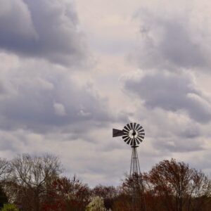 photo Early Spring Sky - Taken in March of 2014 by Terry Niec
