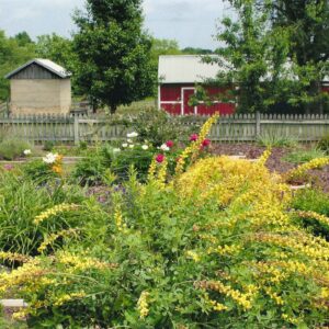 photo Garden View - Taken next to the Kinder Farmhouse on May 10, 2014 by Karen Schoenhaar
