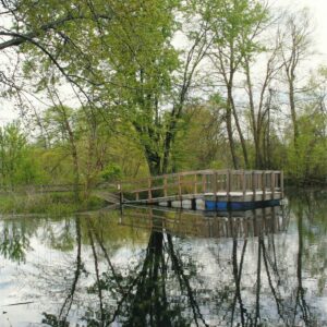 photo Seeing Double - Taken at the Duck Pond on May 2, 2014 by Karen Schoenhaar
