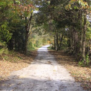 photo The Gray Gravel Road - Taken on the main trail on October 20, 2014 by Martin Veloso