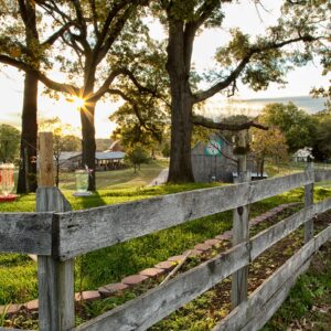 photo Fenced In - Taken near the Visitors Center on October 24, 2014 by Joey Pobre