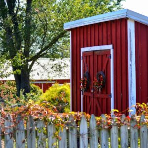 photo Autumn Garden - Taken at the Kitchen Garden on September 27, 2014 by Dina Malkiewicz