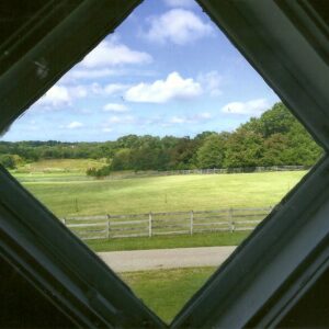 photo Thank God for the Amazing Backyard - Taken at the Kinder Farmhouse in August 2014 by Pat May