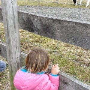 photo Curiosity - Taken on near cow pasture on March 21, 2014 by Jessica Kozlowski