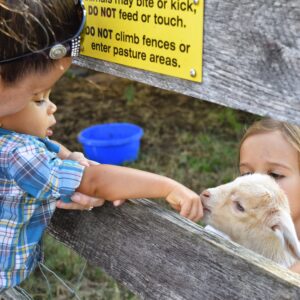 photo Kids Sharing - Taken at the goat pasture with the week old baby goat on October 18, 2014 by Linda S. Hall
