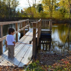 photo Peace and Quiet - Taken at the Duck Pond on October 30, 2014 by Patrick Gillespie