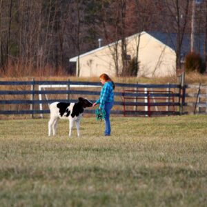 photo Community Gardener - Taken at the Community Gardens on July 5, 2014 by Martin McCann