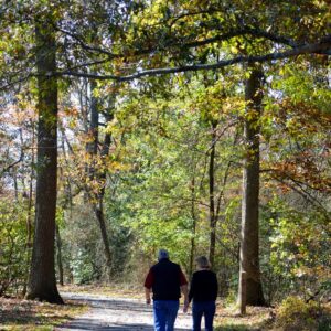 photo Fall Stroll - Taken on the trail on October 26, 2014 by Dina Malkiewicz