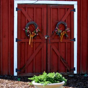 photo Unlock the Beauty - Taken in the Kitchen Garden on October 17, 2015 by Dina Malkiewicz