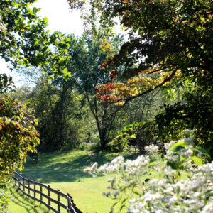 photo Transition - Taken to show the transition of summer turning to autumn in September 2015 by Amy Rittenhouse