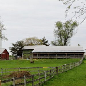 photo Spring is Almost at the Farm - Taken on April 27, 2015 by Mary Gallo
