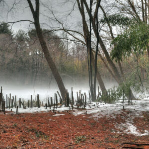 photo Sentinels - Taken at Kinder Pond on March 11, 2015 by Terry Niec