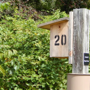 photo Twenty - Taken along the Kinder Park path on September 24, 2015 by Lucinda Trozze