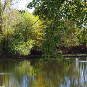 photo Gone Fishin - Taken at the Duck Pond on October 1, 2015 by Jennifer Darling