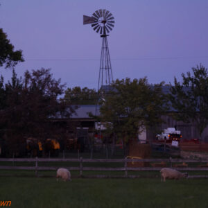 photo Grazing - Taken on October 10, 2015 by Trevor Brown