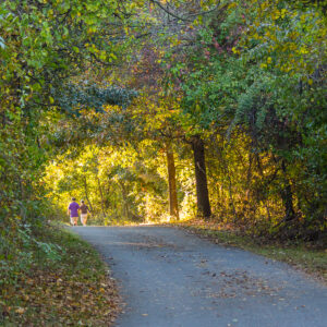 photo Peaceful Walk in Autumn - Taken on October 10, 2015 by Terrill Harris