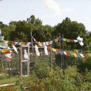 photo Tibetan Prayer Flags - Taken at the Community Garden in July 2015 by Allegra Chappell