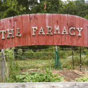 photo The Farmacy - Taken at the Community Garden in July 2015 by Allegra Chappell
