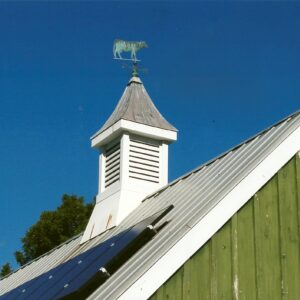 photo Weathervane - Taken in July 2015 by Allegra Chappell