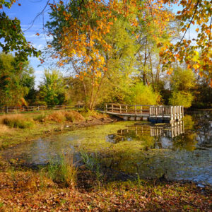photo Autumn Pond - Taken at the Duck Pond on October 22, 2015 by Lonnie Kishiyama