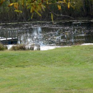 photo Watery Landscape - Taken on October 10, 2015 by Jude Clack