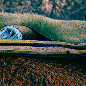 photo Shag - Taken in February 2025 at one of the 'dump' sites where there was leftover turf field by Melinda Myers