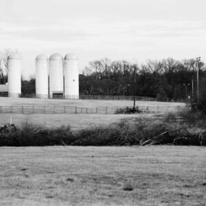 photo Dreary Day - Taken in January  2015 by Taylor Cole