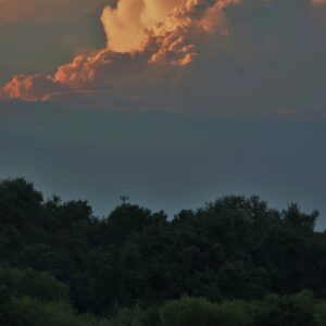 photo Summer Mowing - Taken on July 21,2015 by Martin McCann