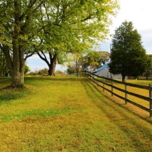 photo Peaceful Afternoon - Taken near the farm complex on October 25, 2015 by Chuck Kozub