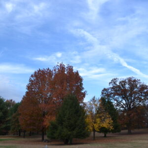 photo A Landscape of Fall Color - Taken on October 30, 2015 by Cindy Myers