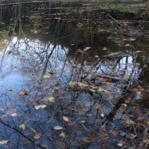 photo Reflections in Blue - Taken at Bunk's Pond on October 31, 2015 by Chris Kamenoff