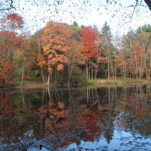 photo Fall Reflections - Taken at Bunk's Pond on October 31, 2015 by Chris Kamenoff