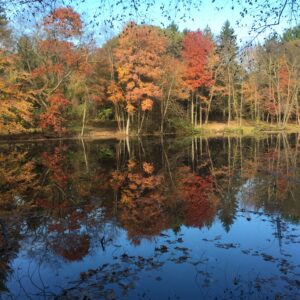 photo Fall Reflections - Taken at Bunk's Pond on October 31, 2015 by Chris Kamenoff