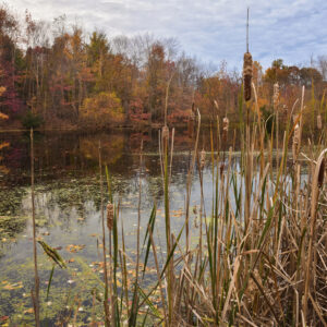 photo Goodbye Daylight Savings Time - Taken at the pond fields on October 31, 2015 by the athletic