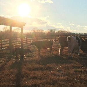 photo Family Time - Taken on December 30, 2016 by Victoria Mucciacciaro