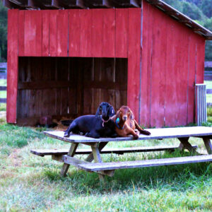 photo Relax - Taken on September 9, 2016 by Laura Quevedo