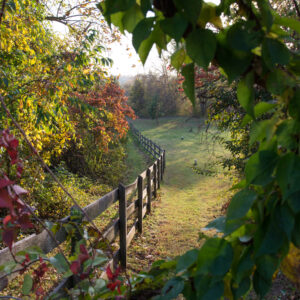 photo A Window into Fall - Taken on November 2, 2016 by Patrick Gillespie