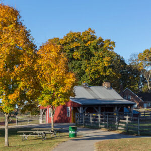 photo Autumn Beauty - Taken on November 5, 2016 by Kevin McCarthy