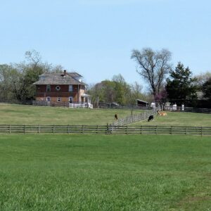 photo Does It Get Any Better Than This! - Taken on April 6, 2016 by Mary Gallo